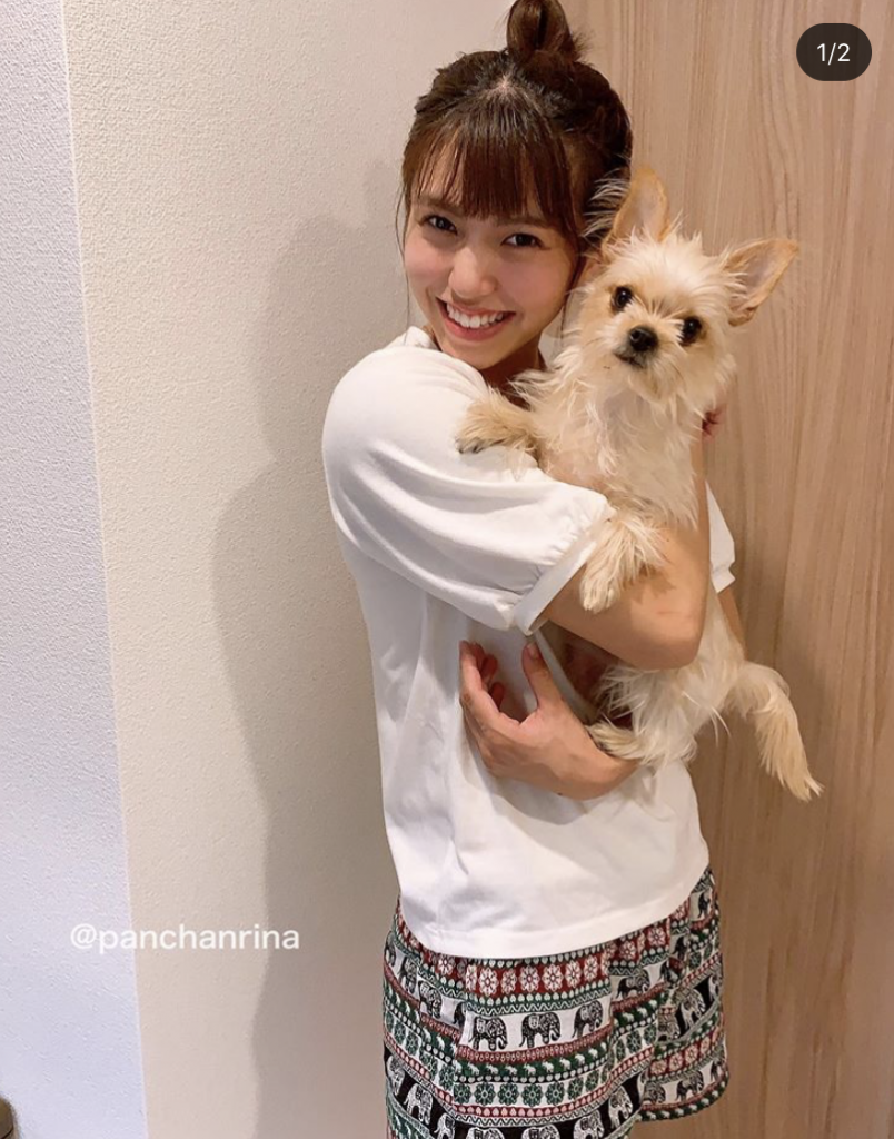 ぱんちゃん璃奈　プレイボーイ わたしの憧れの女性 | 株式会社Cont